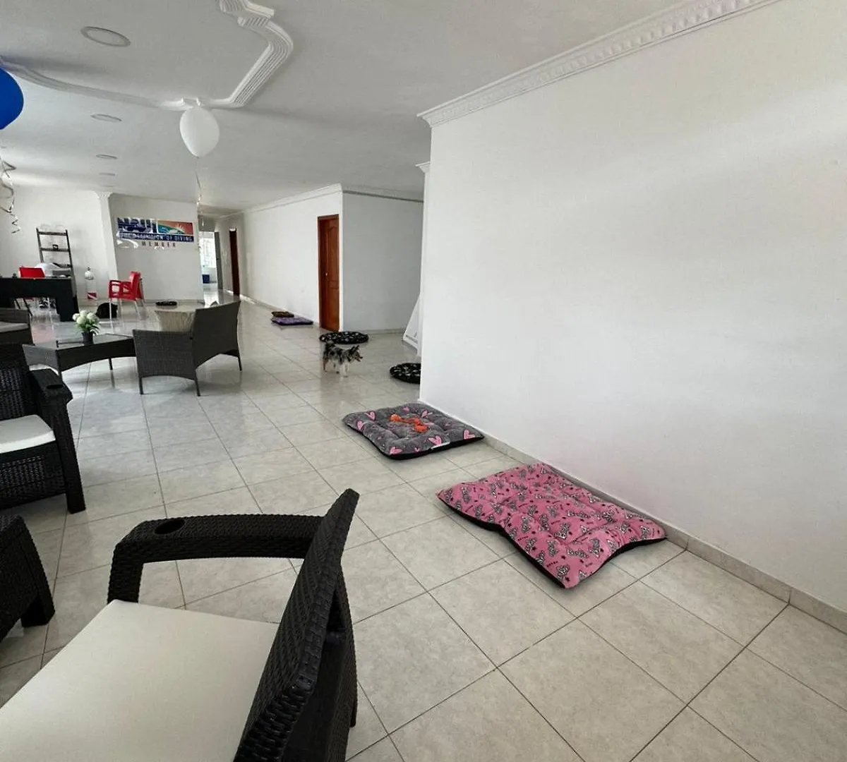 Calipso Dive And Pet Center Ξενοδοχείο Σάντα Μάρτα 0*,  Κολομβία