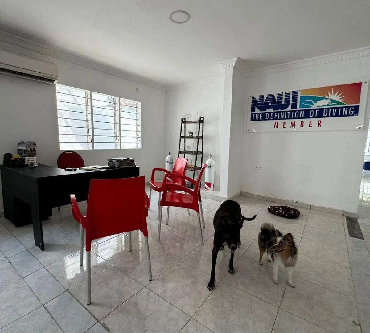 Calipso Dive And Pet Center Ξενοδοχείο Σάντα Μάρτα Πανσιόν